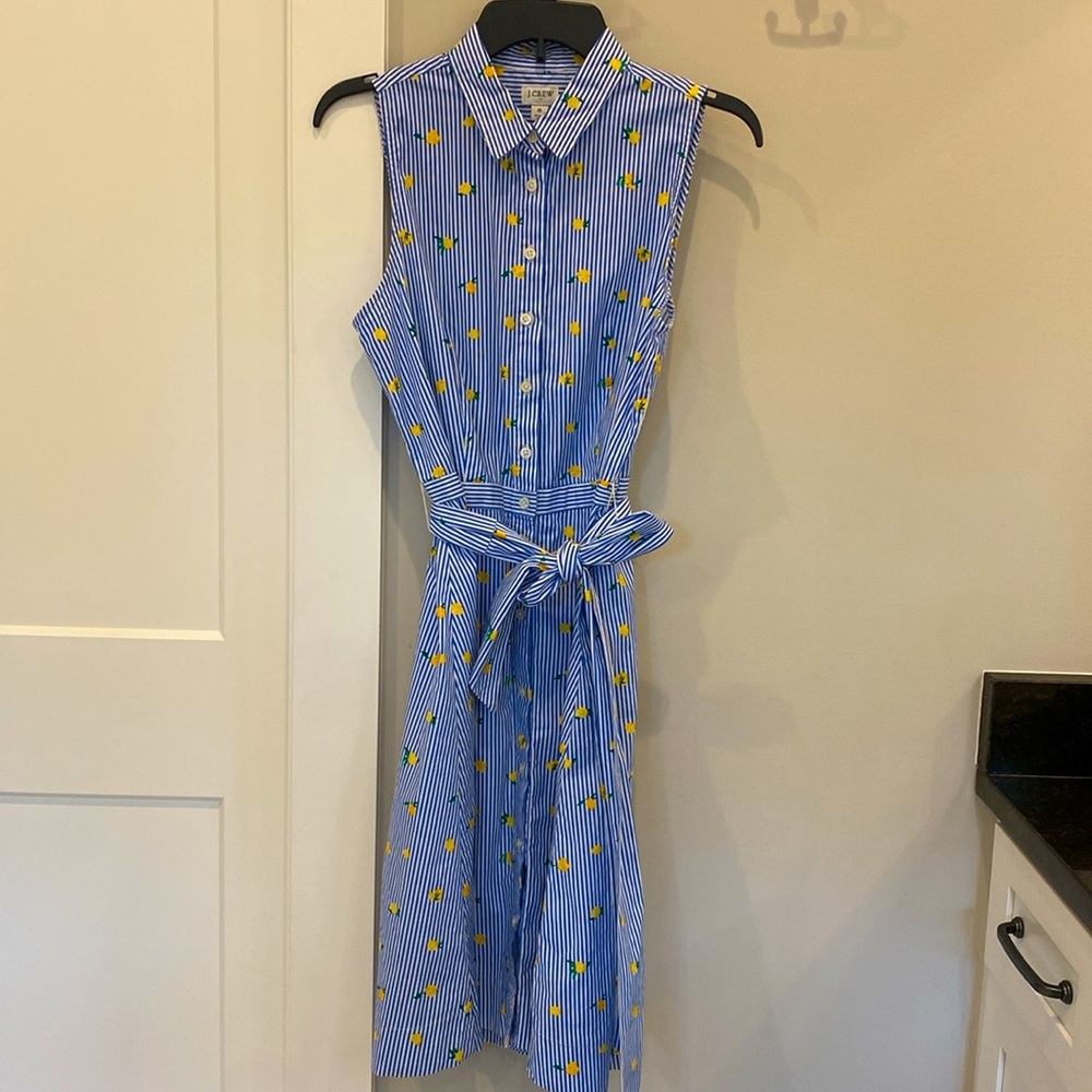 J.Crew Factory  Blue striped Dress with Yellow Lemons - Picture 3 of 8